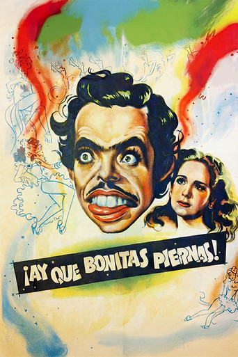 What a Beautiful Legs! poster