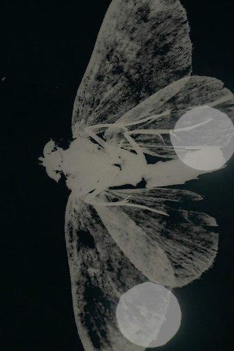 SECRET MESSAGE - Other Wise poster