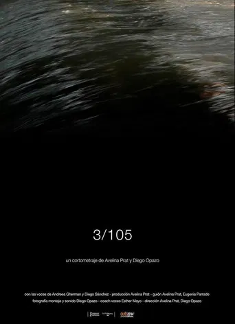 3/105 poster