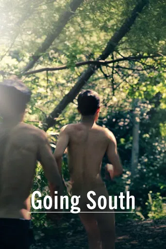Going South poster