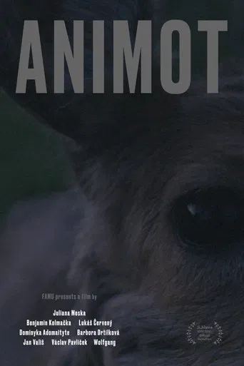 Animot poster