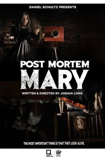 Post Mortem Mary poster