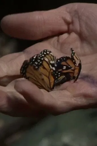 The devil in the details poster