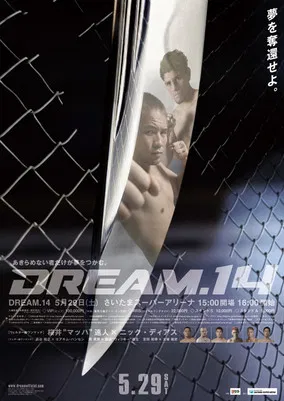 DREAM 14 poster