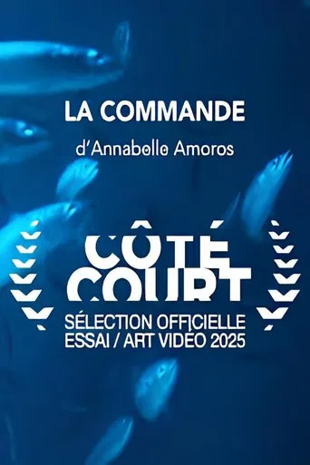 La Commande poster