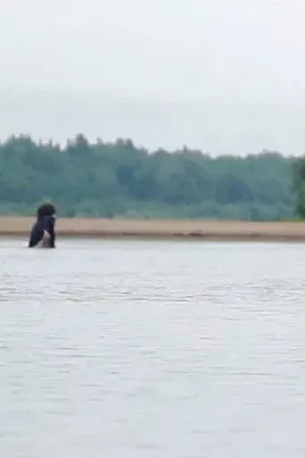 The Movie For The One Man poster