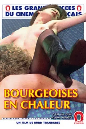 Prouesses porno poster