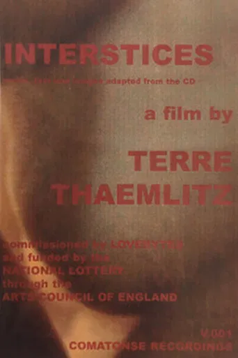 Interstices poster