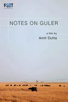 Notes on Guler poster