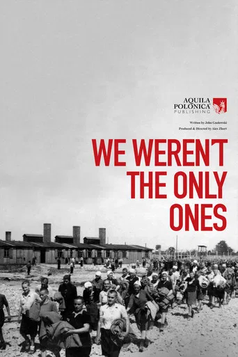 We Weren't The Only Ones poster