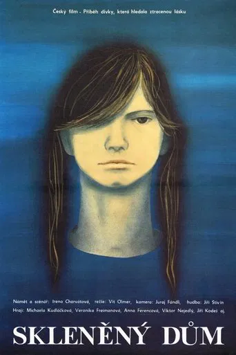 The Glass House poster