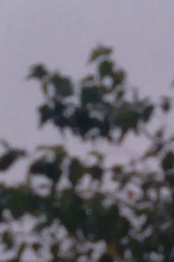 Exercícios Fílmicos No.1 poster