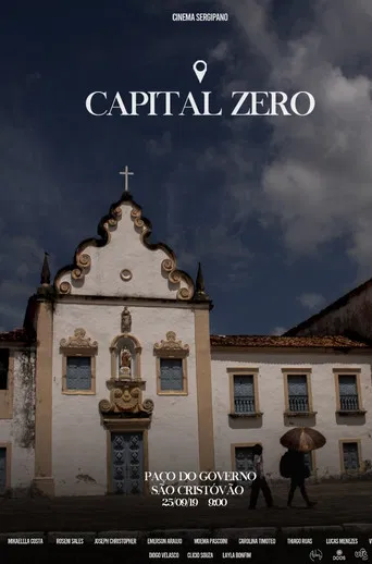 Capital Zero poster