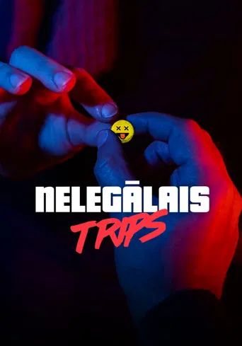 The Illegal Trip poster