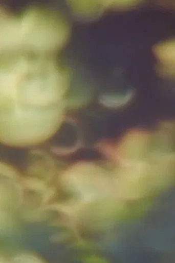 Refractions in Green poster