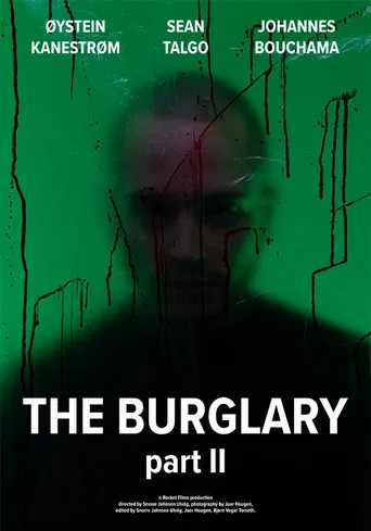 The Burglary: Part II poster