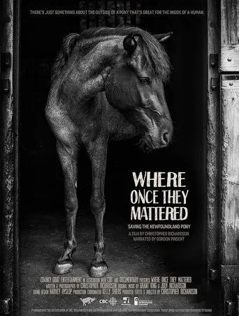 Where Once They Mattered poster