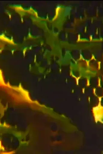 Conjuror's Box poster