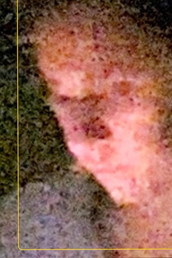 A Sentimental Science poster