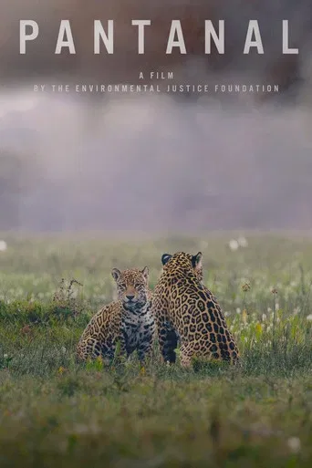 Pantanal poster
