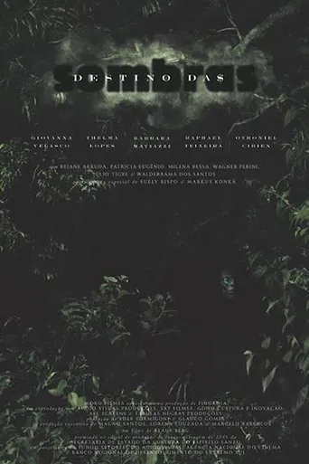 Destino das Sombras poster