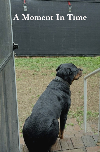 A Moment In Time poster