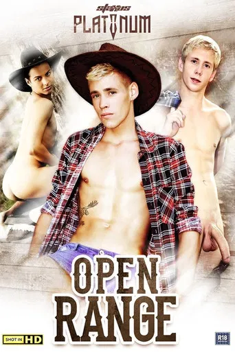 Open Range poster