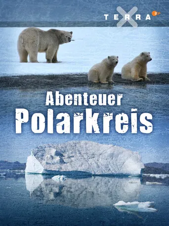 Abenteuer Polarkreis poster