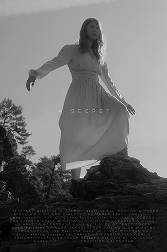 A Secret poster