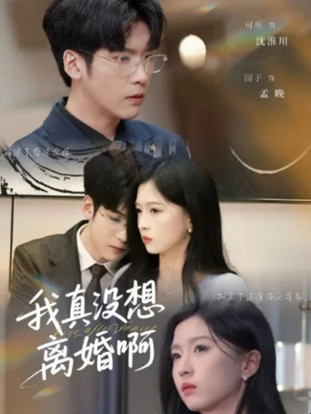 我真没想离婚啊 poster