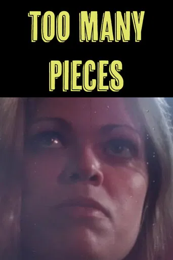Too Many Pieces poster