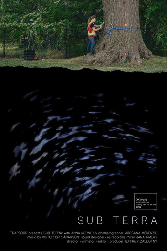 Sub Terra poster