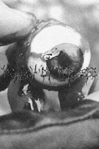 Melody Of Madness poster