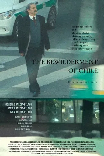 The Bewilderment of Chile poster
