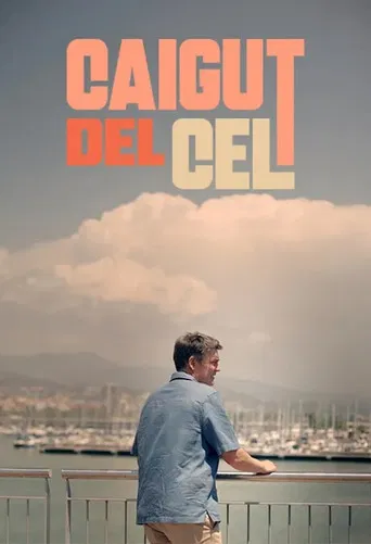 Caigut del cel poster