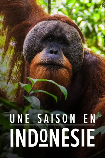 Une saison en Indonésie poster