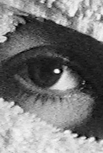 Pneurosis (en el baño) poster