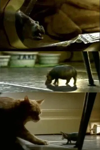 North American House Hippo poster