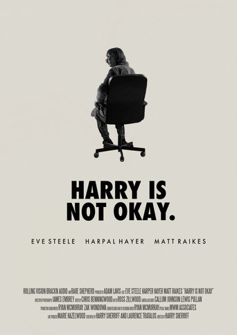 Harry Is Not Okay poster