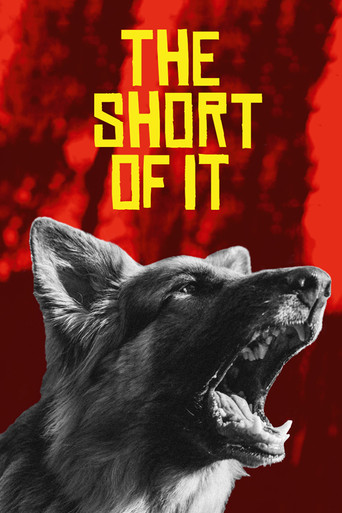 The Short of It poster
