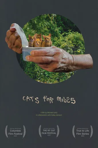 Cats for Miles poster