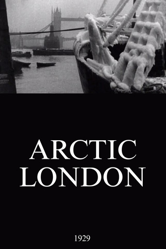 Arctic London poster