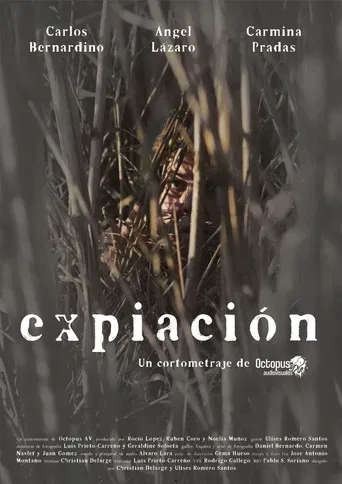 Expiación poster