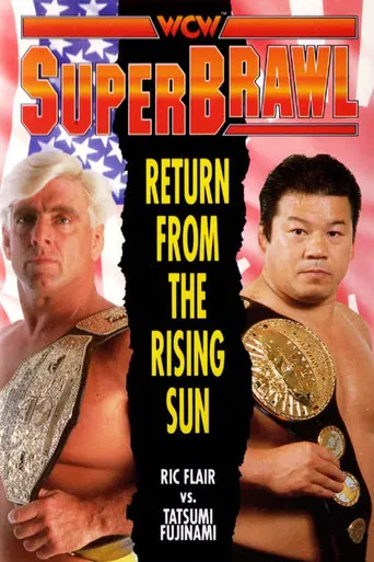 WCW SuperBrawl 1 poster