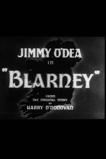 Ireland's Border Line poster