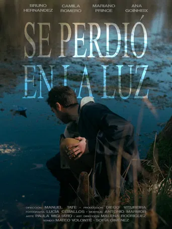 Se Perdió en la Luz poster