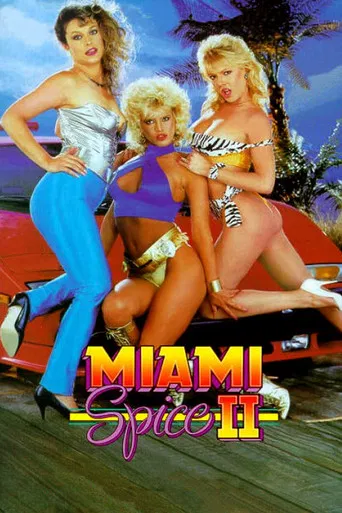 Miami Spice II poster
