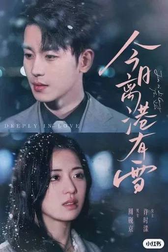 今日离港有雪 poster