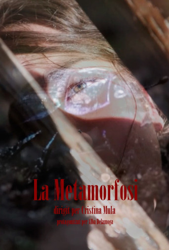La Metamorfosi poster