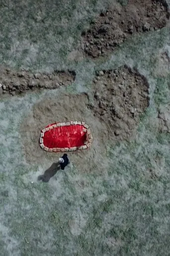 The grave under the plum tree poster